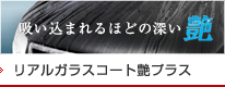 リアルガラスコート艶プラス