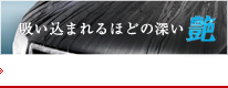 リアルガラスコート艶プラス